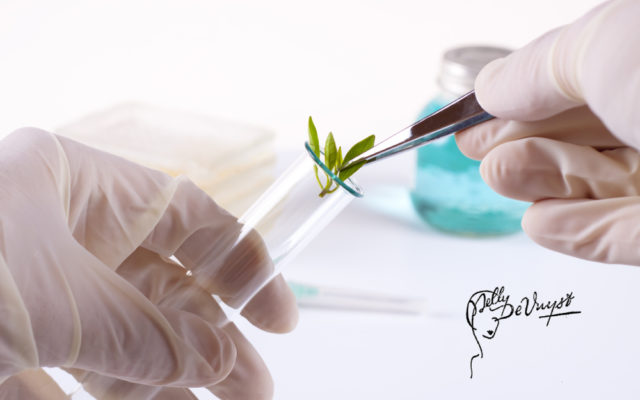 Nelly De Vuyst®: The New Generation